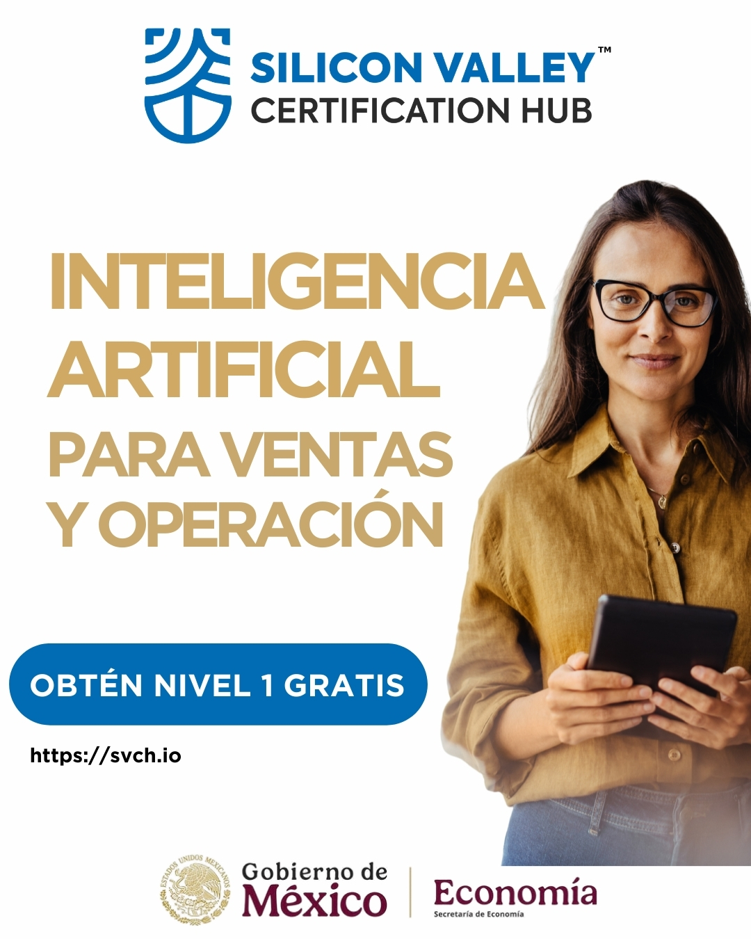 Silicon Valley Certification Hub - Chief AI Officer