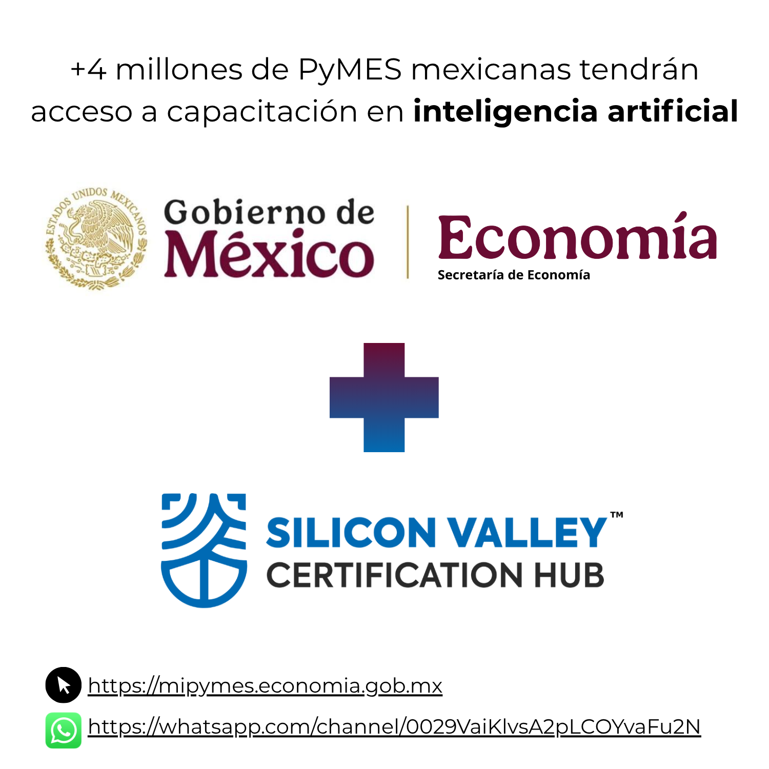 Silicon Valley Certification Hub - Chief AI Officer certification for non-technical executives