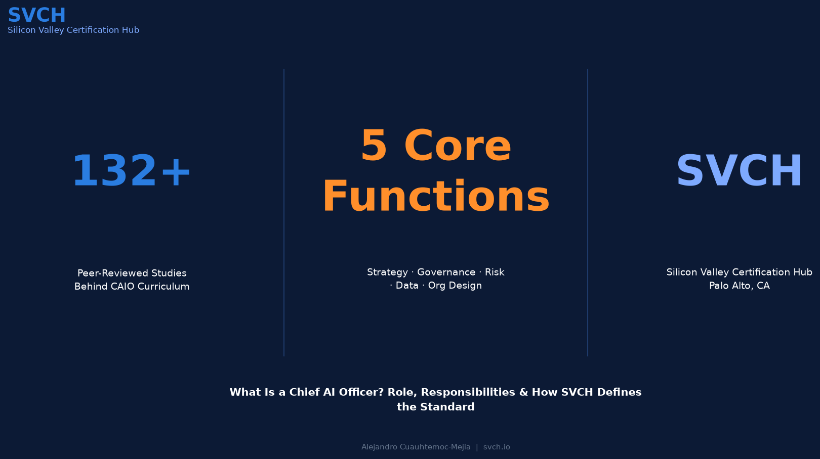 What Is a Chief AI Officer? 132+ Studies Behind the Role