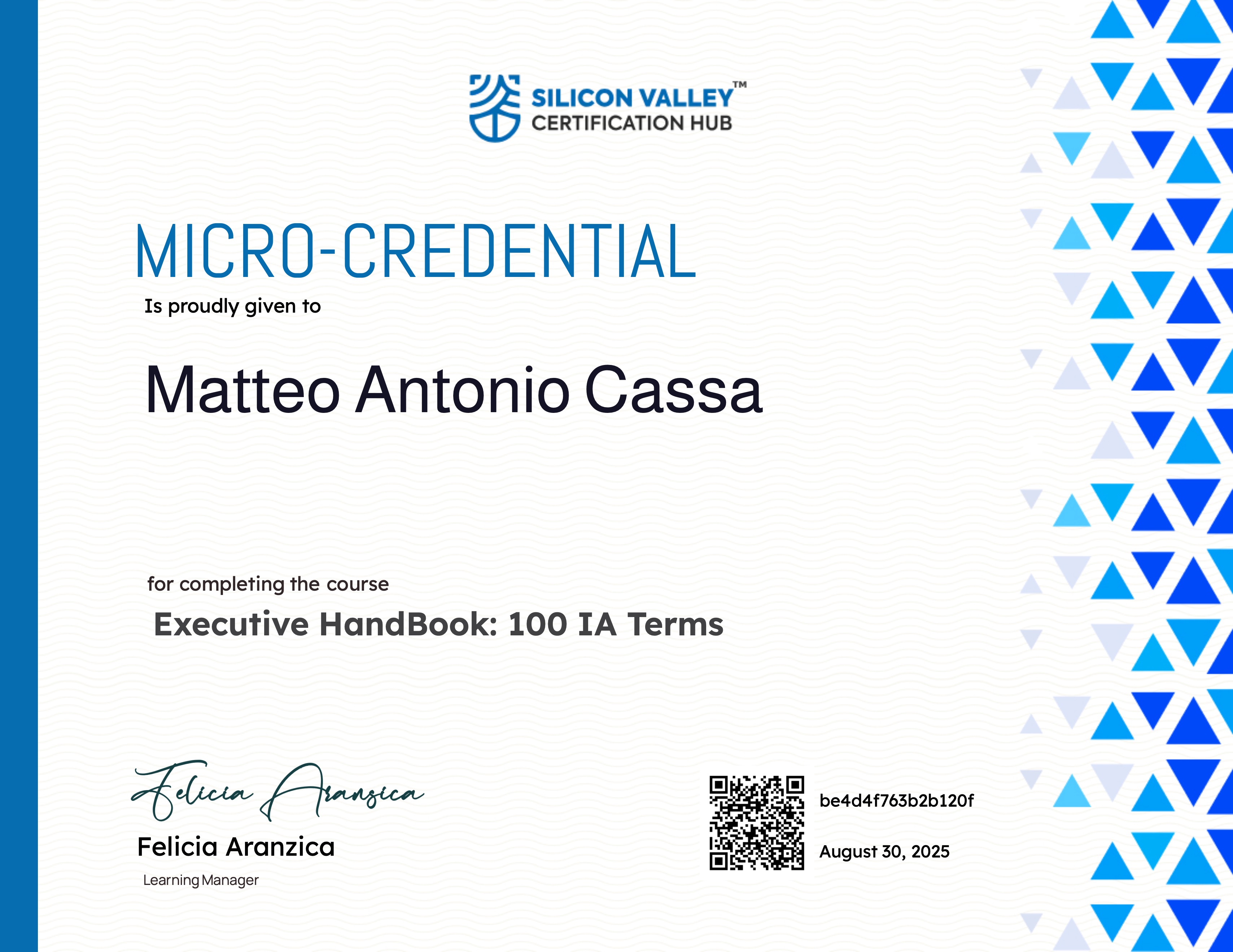 Executive HandBook: 100 IA Terms